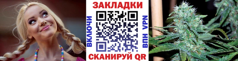Альфа ПВП Мурино