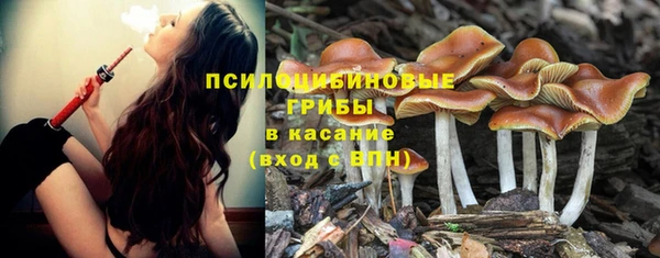 кокаин перу Дмитриев