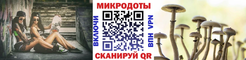 Галлюциногенные грибы Psilocybine cubensis  Купить где  Мурино 